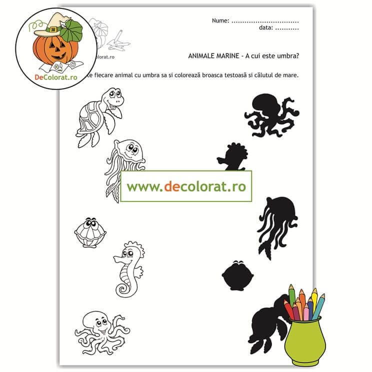 Viețuitoare marine – fișă de punere în corespondență – A cui este umbra?